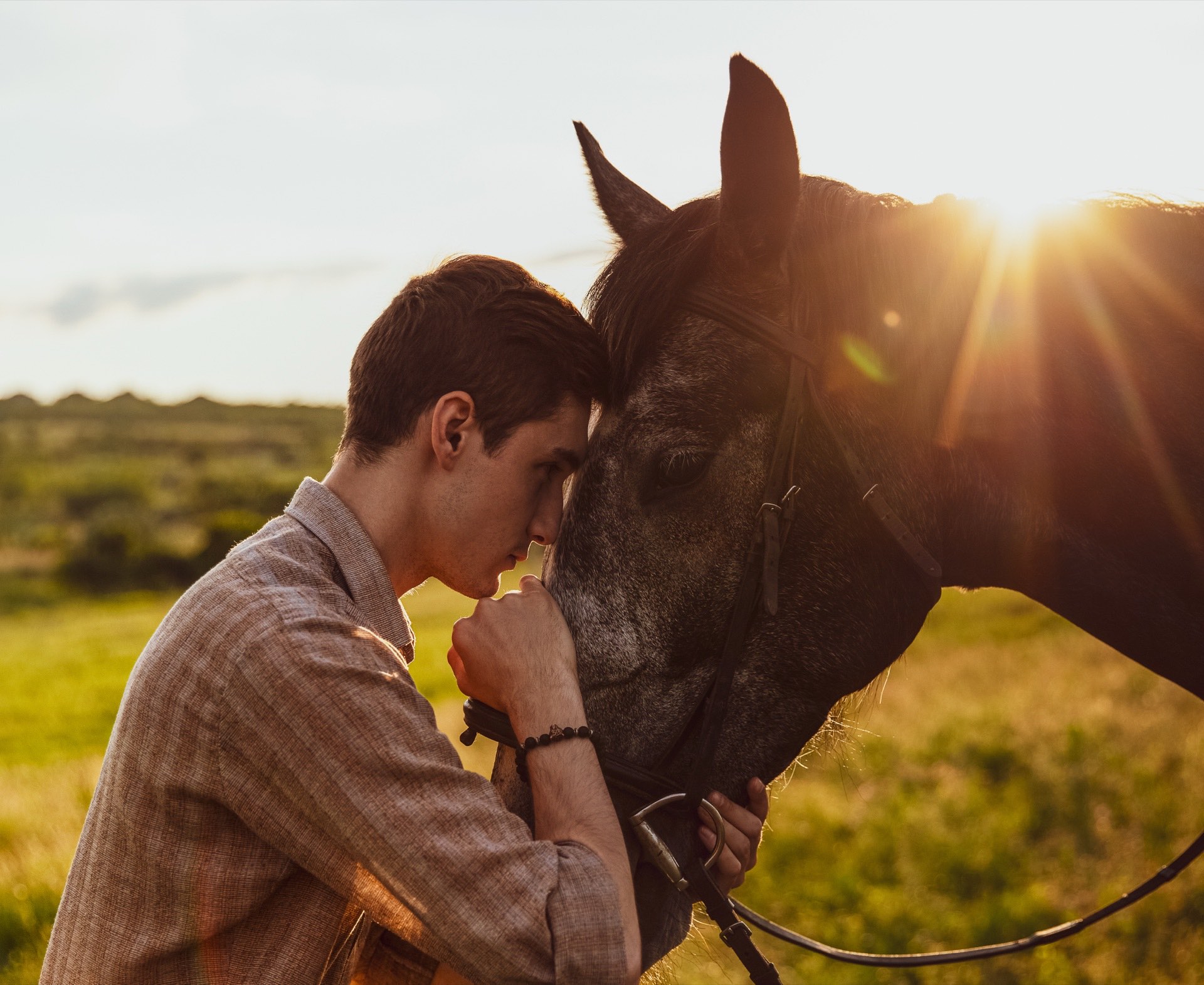 Mensch und Pferd bei Sonnenuntergang