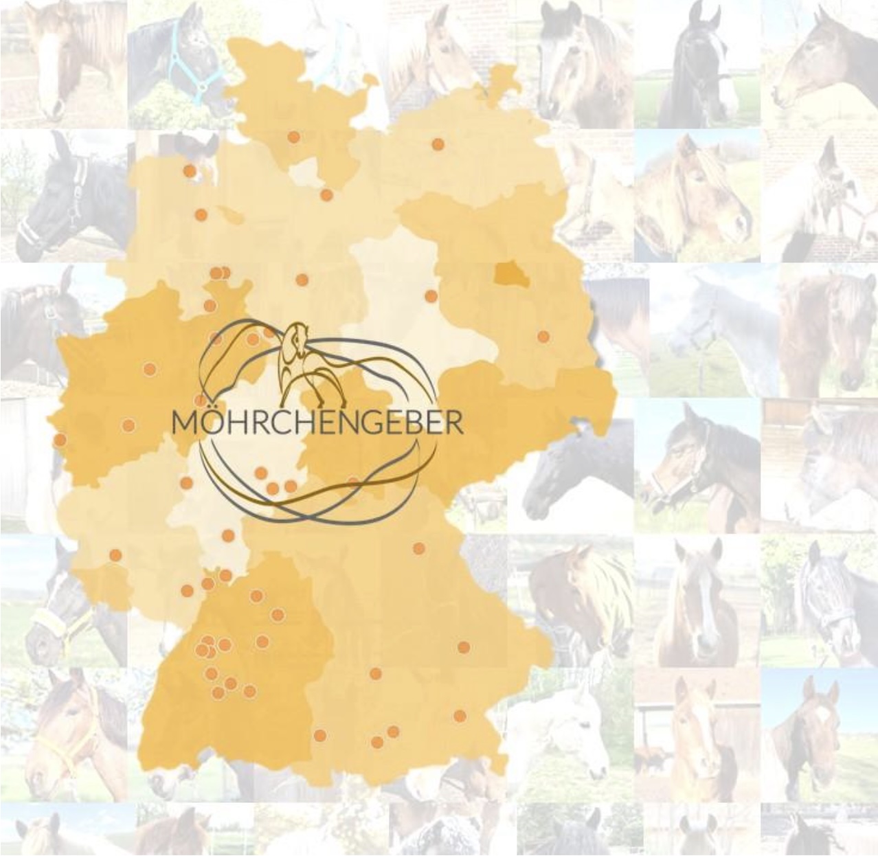 Möhrchengeber deutschlandweit
